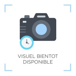 TREVIL | MANETTE REGLAGE M8x20